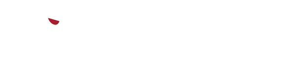 Dragan Systems