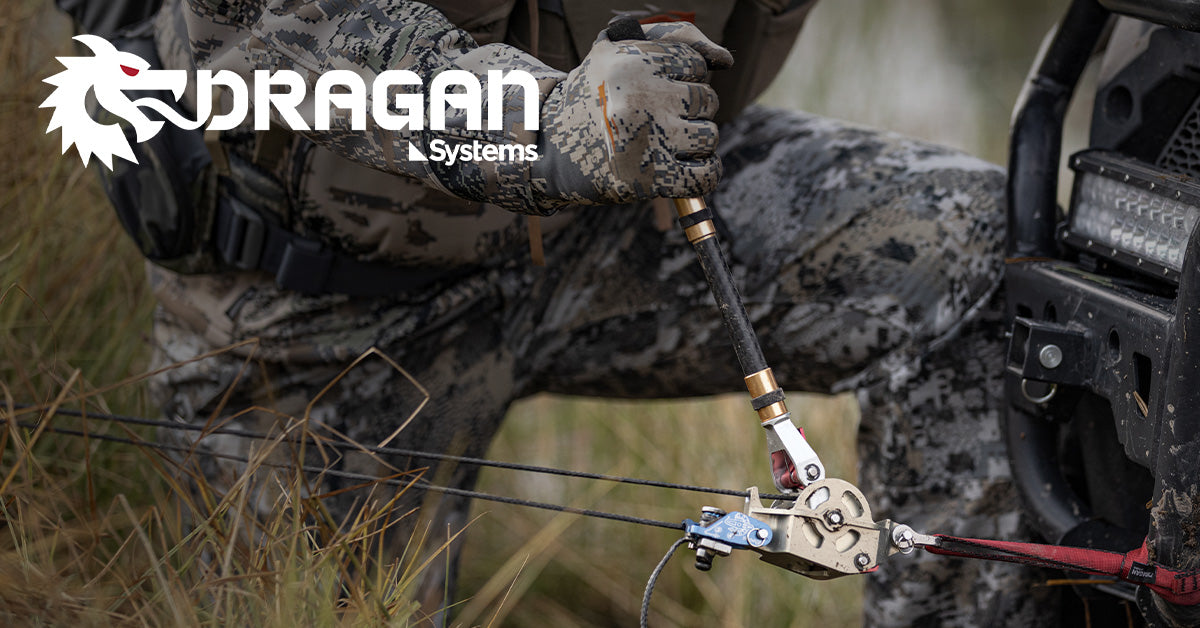 dragansystems.com